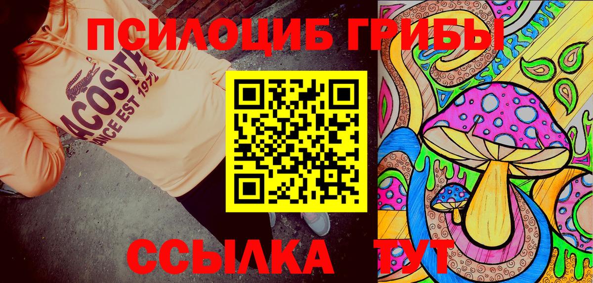 Псилоцибиновые грибы мицелий Людиново
