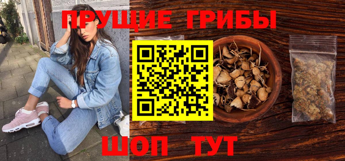 Людиново  Псилоцибиновые грибы Psilocybine cubensis  даркнет сайт  Вход с VPN 
